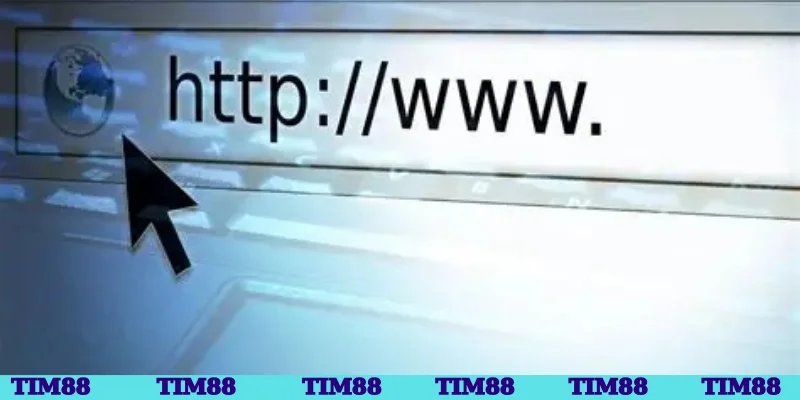 Chuẩn bị đường link tải app Tim88 uy tín để tin tưởng