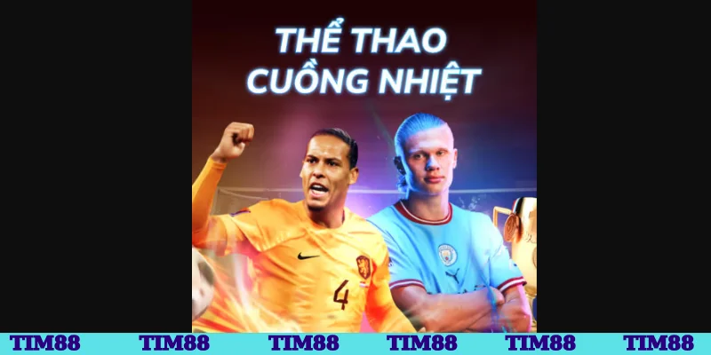 Tham gia khuyến mãi khi đăng ký đăng nhập Tim88 mới nhất